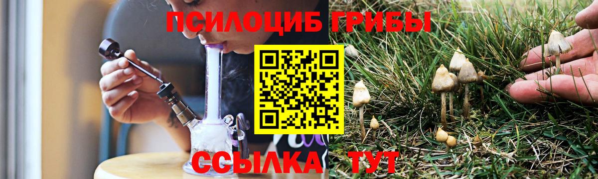 Псилоцибиновые грибы GOLDEN TEACHER Дубна