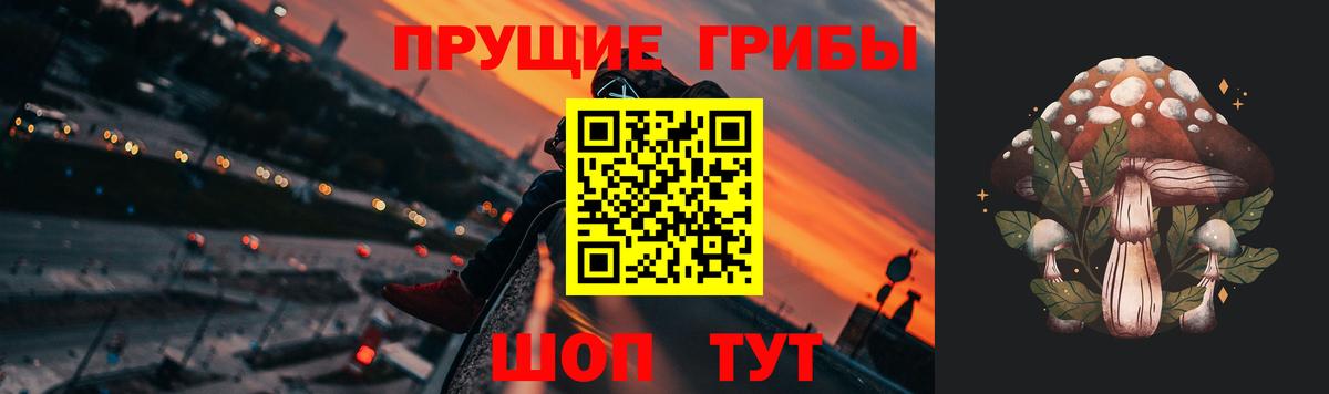 Дубна  Псилоцибиновые грибы мицелий  Вход с VPN 
